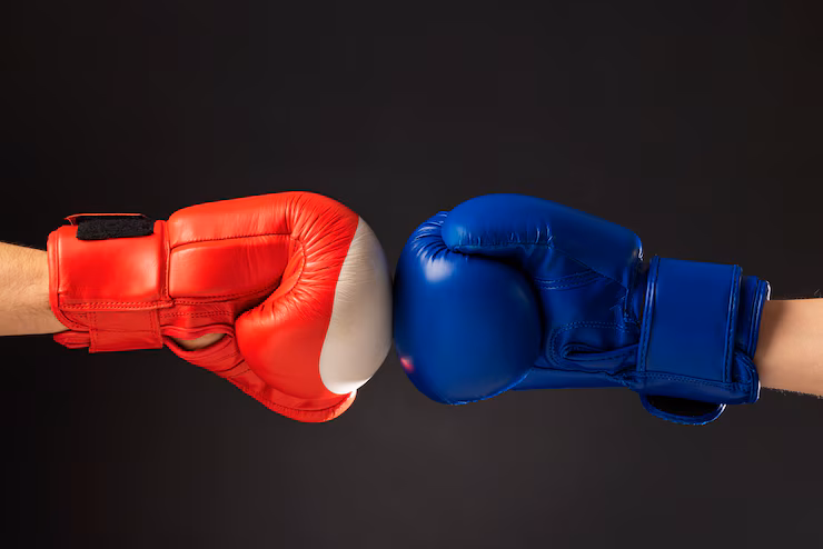 Pro Boxing Gloves